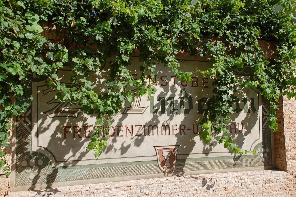 Hotel Zur Lindenau Rüdesheim am Rhein Exteriér fotografie